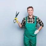 Professional Tree Solutions Made Easy with The Tree Guy Services LLC