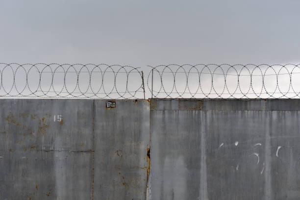 Welche Zaeune passen am besten zu modernen Wohnhaeusern